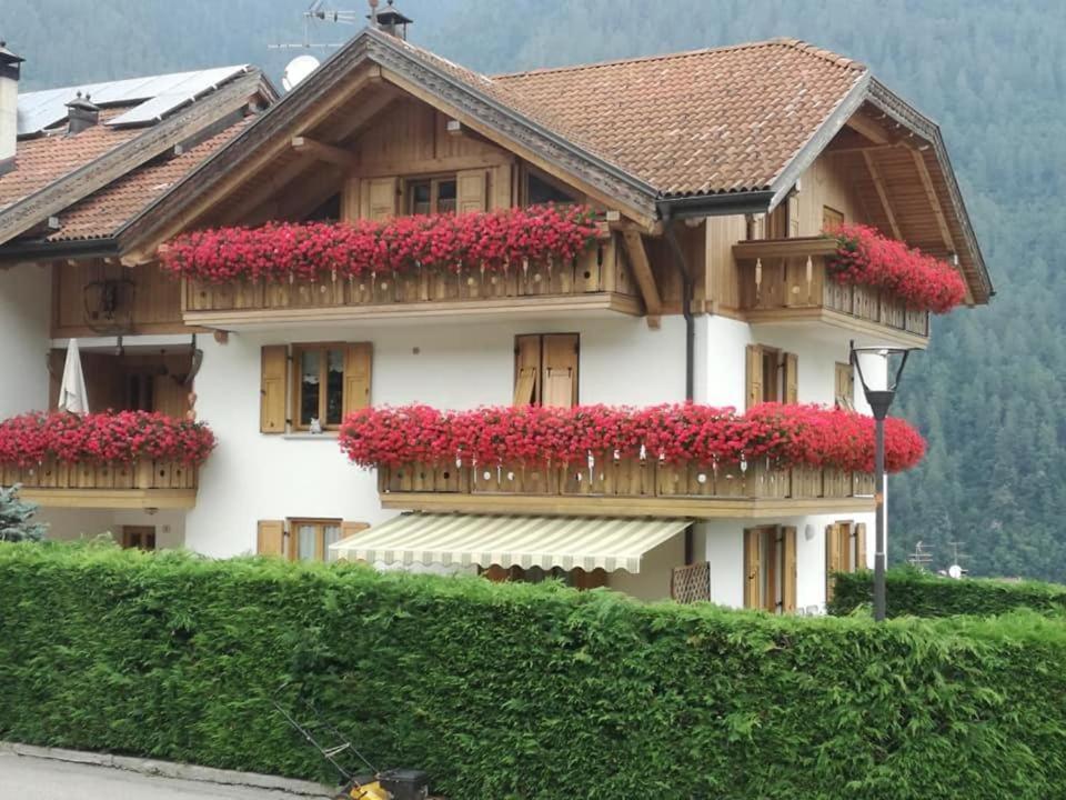 קומזדורה Appartamento Mansarda Patrizia E Franco Val Di Sole מראה חיצוני תמונה
