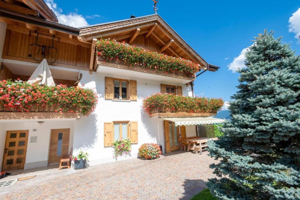 קומזדורה Appartamento Mansarda Patrizia E Franco Val Di Sole מראה חיצוני תמונה